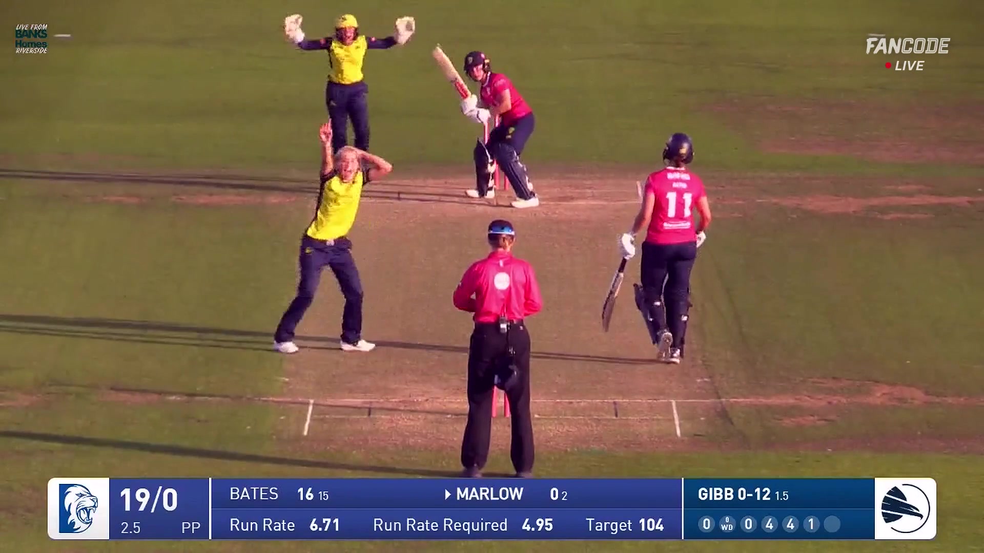 Wicket! Sharp Catch By Southby Behind The Stumps, Gibb Strikes