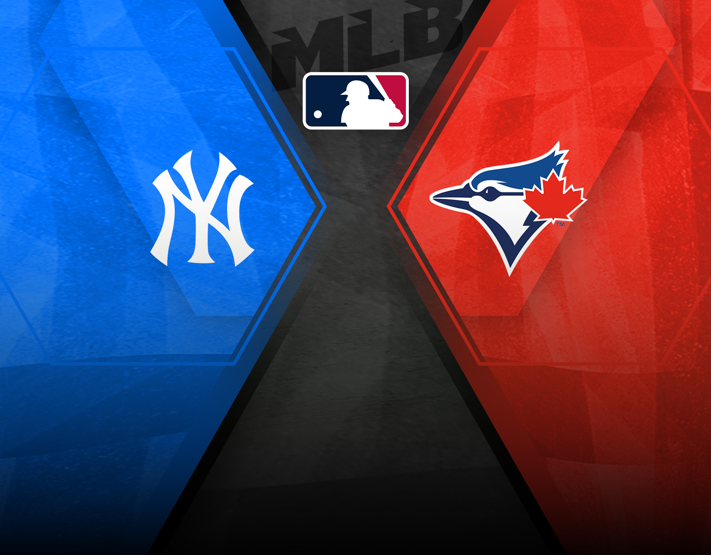 Match 311 of major league baseball, 2025 banner