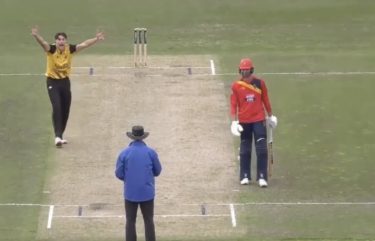 Albert Esterhuysen's 3 for 42 | Match 6