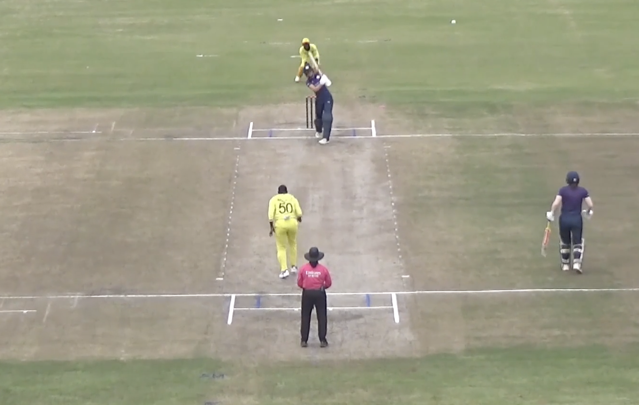 Darcey Carter's 54* off 50 | Match 3