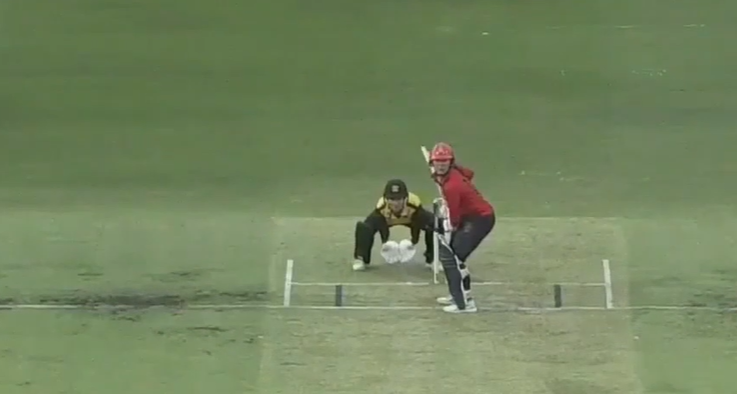 Courtney Webb's 58 off 55 | Match 17