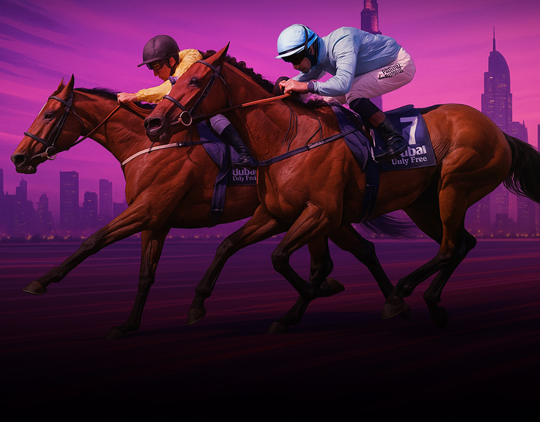 Dubai Duty Free Shergar Cup