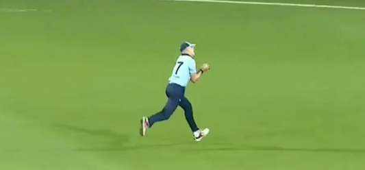 STUNNER! Dwarshuis takes a spectacular running boundary catch
