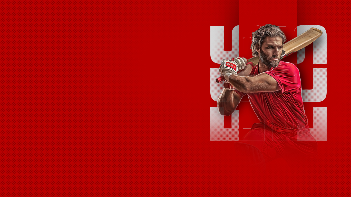 Ecs france, 2025 cricket banner