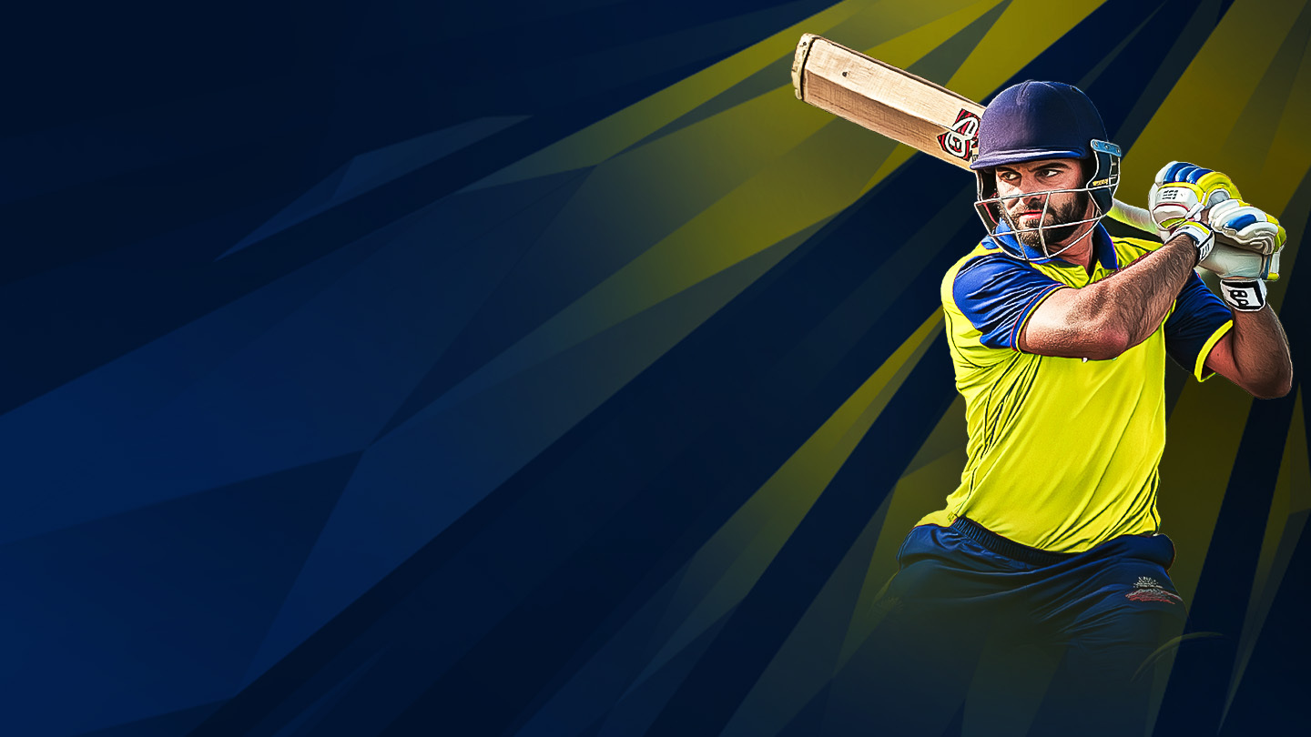 Ecs sweden, landskrona, 2025 cricket banner