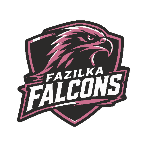 Fazilka falcons cricket logo