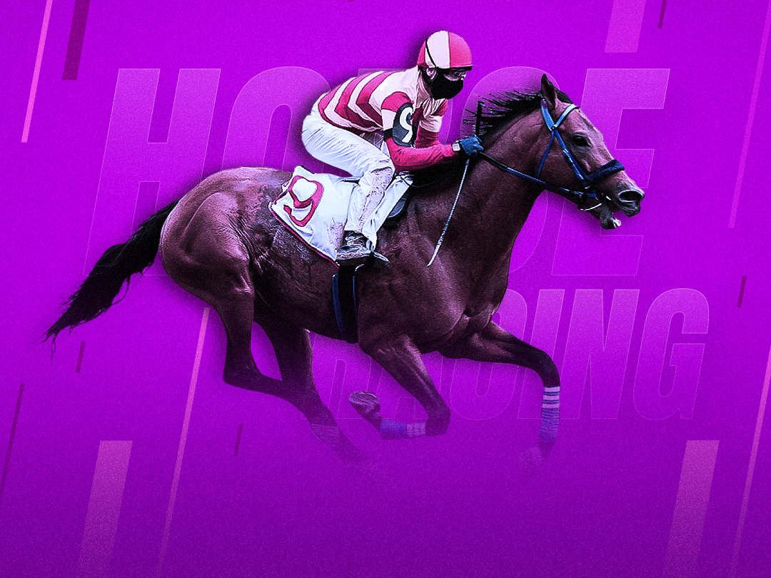 Pegasus world cup 2026 of pegasus world cup 2026 banner