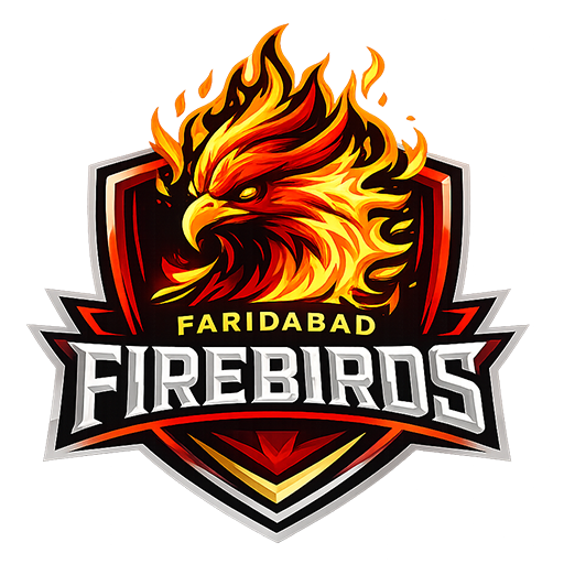 Faridabad firebirds cricket logo