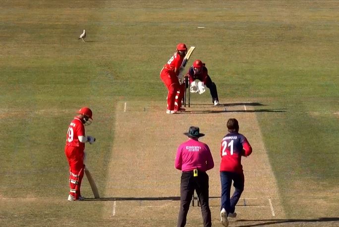 Lucky Ali's 52 off 60 | Match 22
