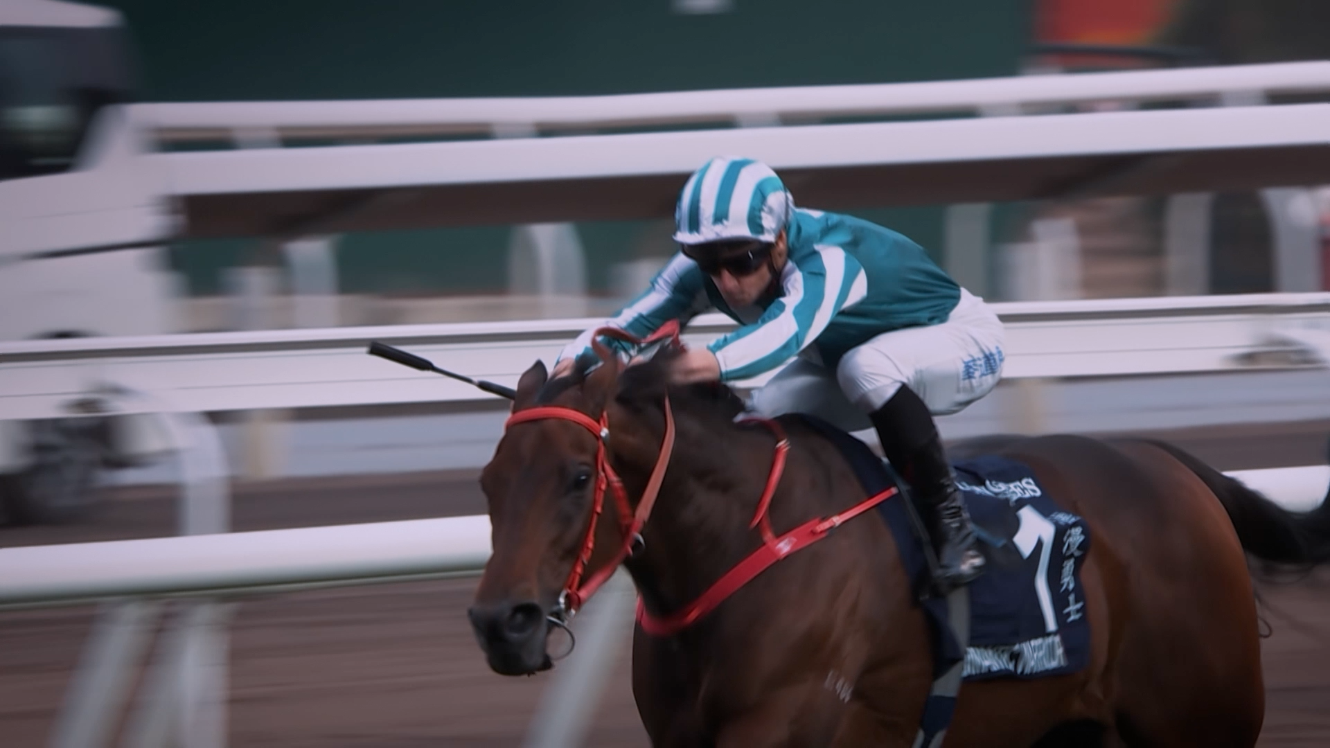 Longines Hong Kong Cup 2025: Live on FanCode!