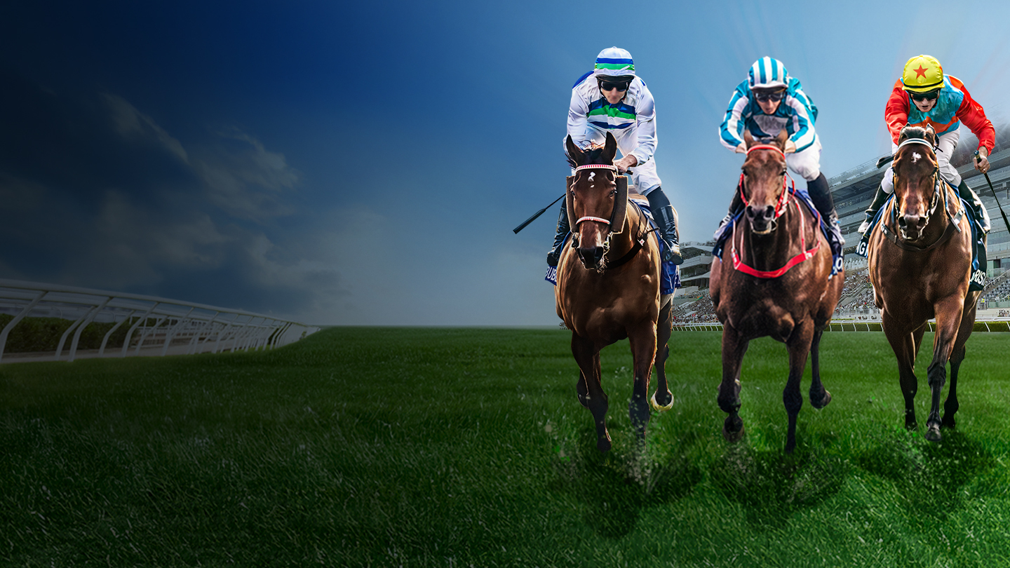 Longines hong kong cup 2025 horse racing banner