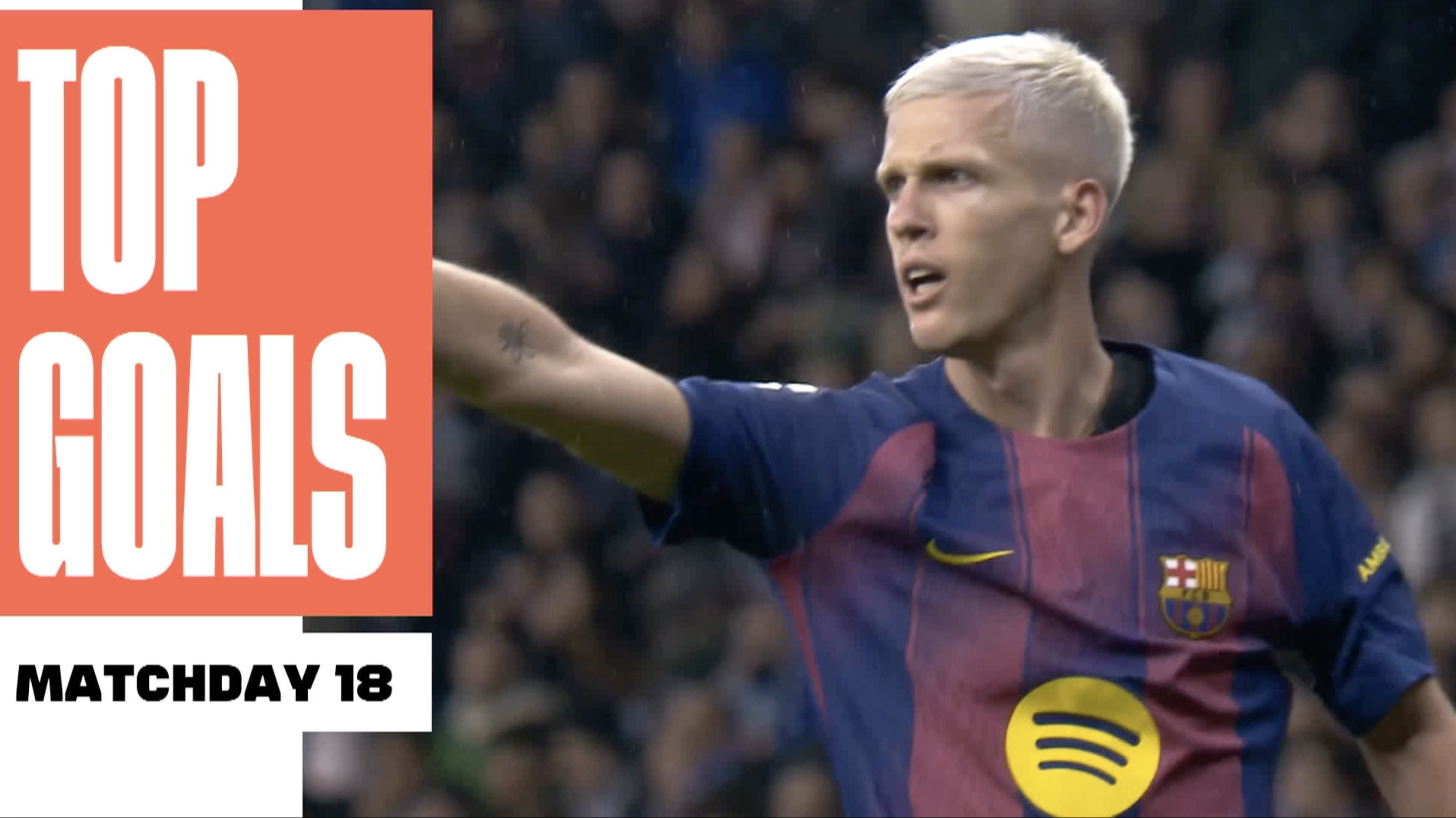 Round 18: Top 5 Goals