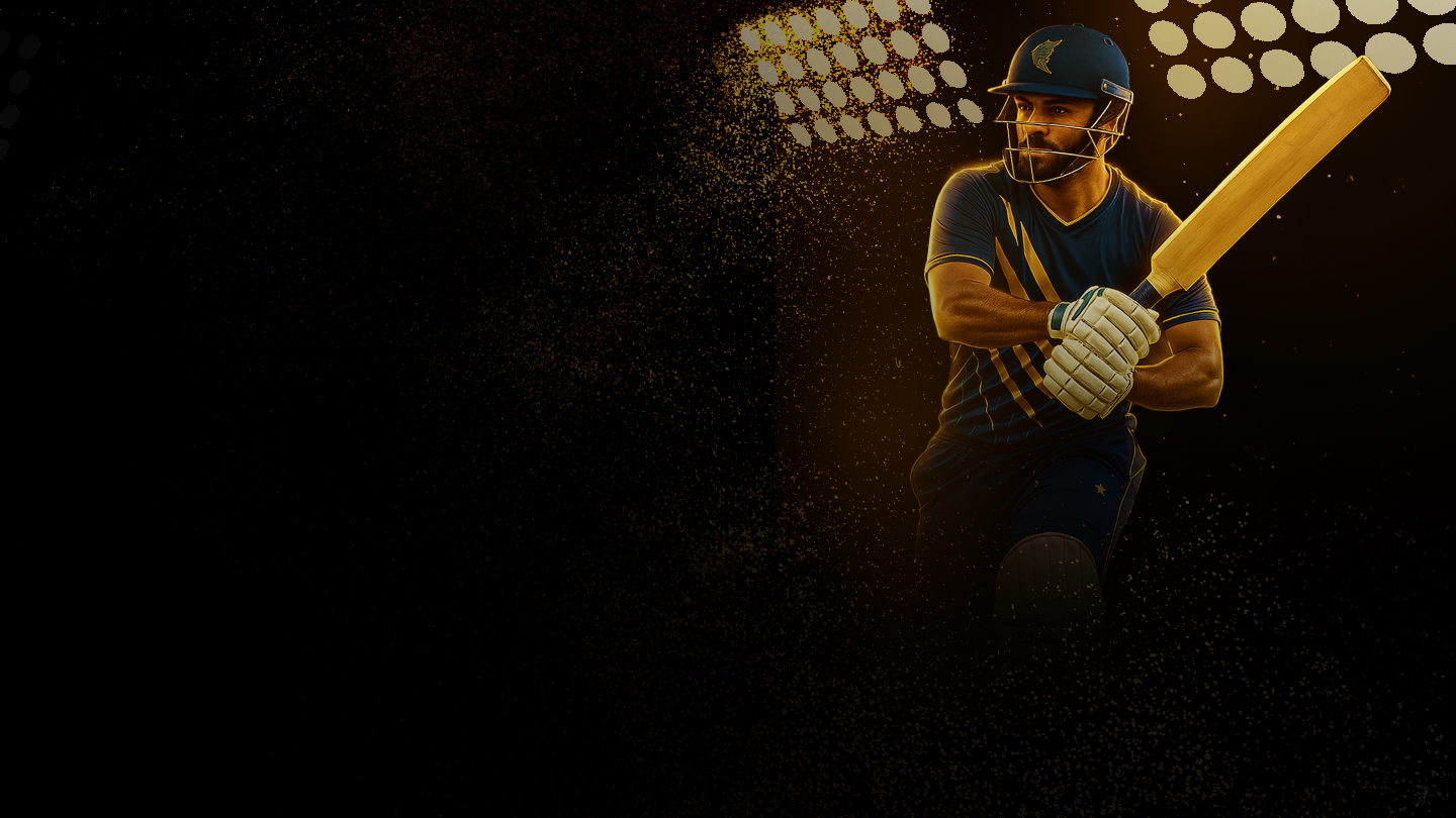 Pondicherry premier league, 2025 cricket banner