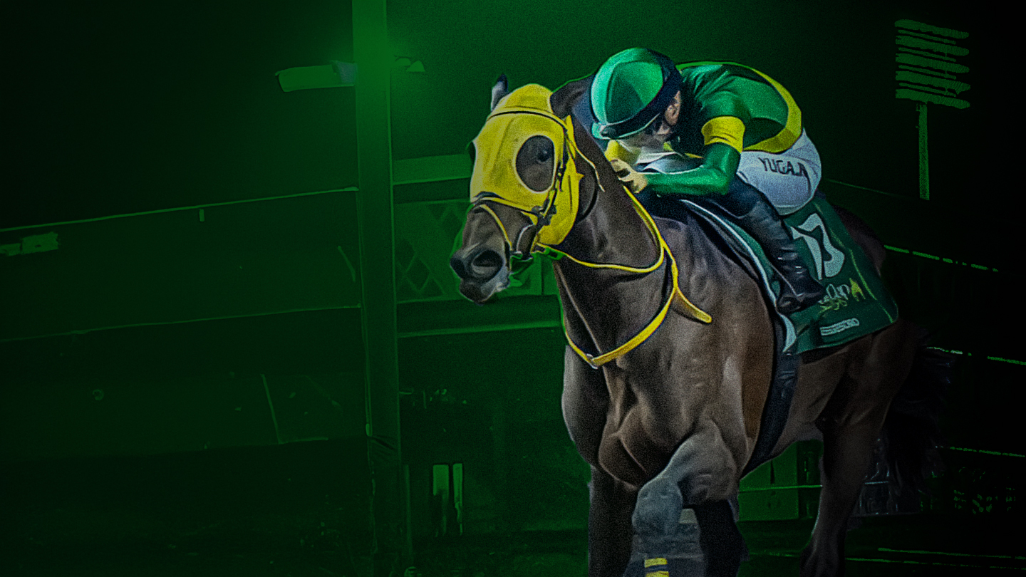 Saudi cup horse racing banner