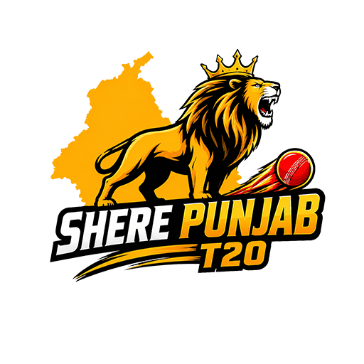 Punjab T20