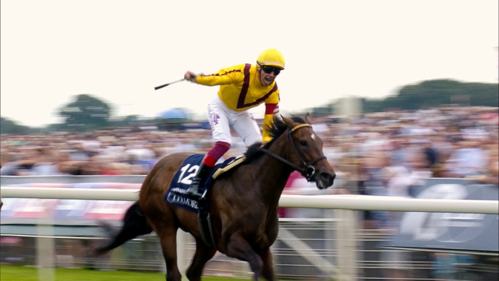 York Ebor Festival: International Stakes | Live on FanCode 2025