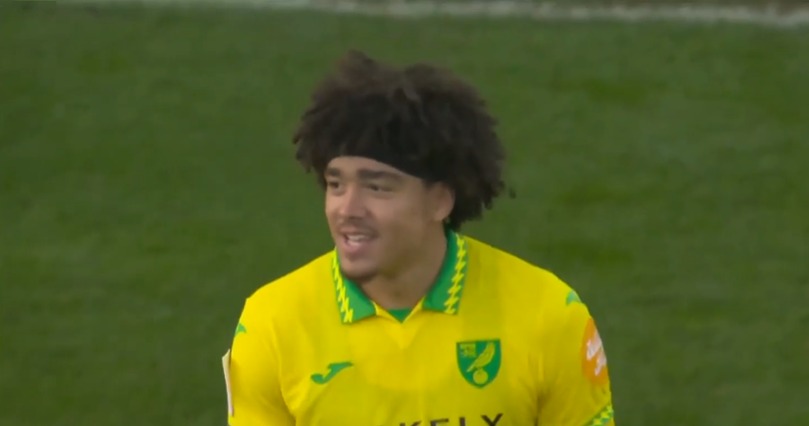 Norwich City F.C. 2-1 Southampton F.C. | Round 21