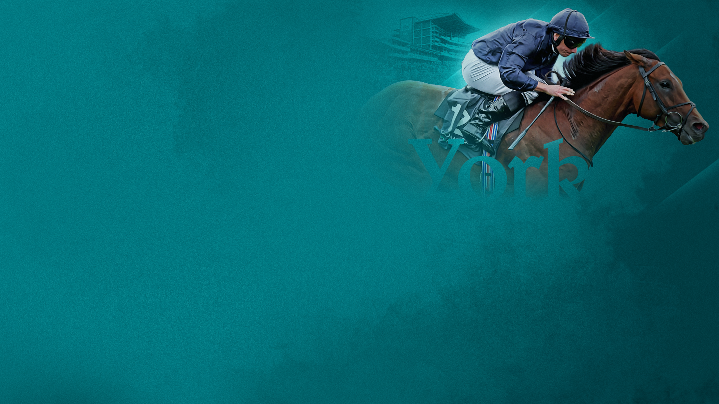 York ebor festival: international stakes horse racing banner