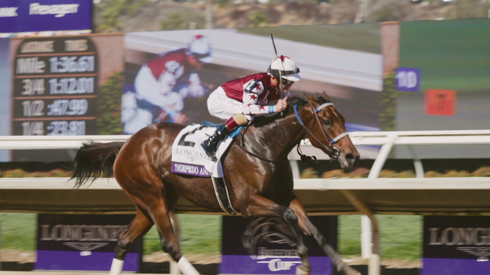 Breeders' Cup Classic 2025: Live on FanCode!
