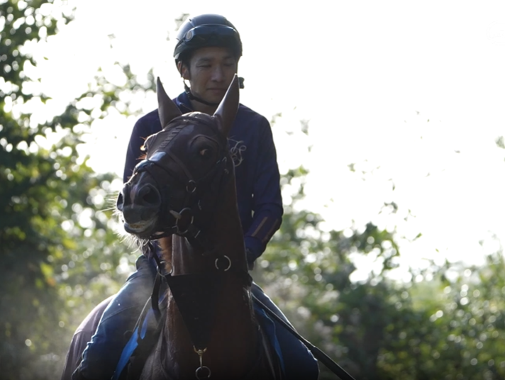 Byzantine Dream (Japan) | Horse profile