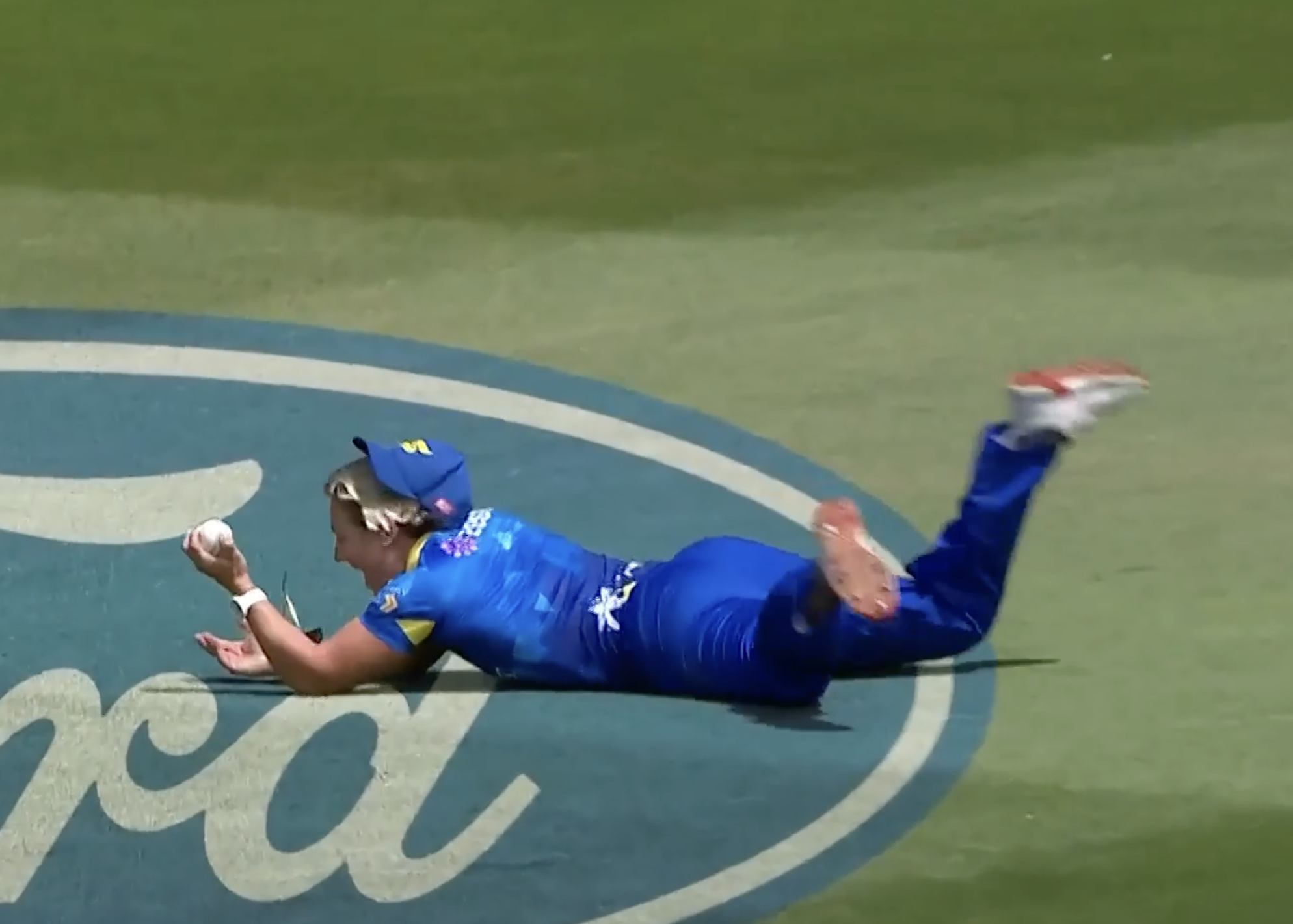 WHAT A CATCH! Harris plucks a blinder to dismiss Plimmer
