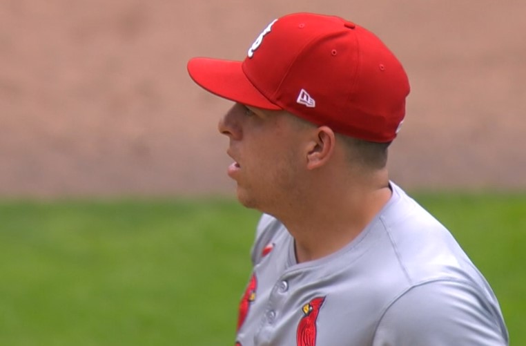 MLB: Minnesota Twins vs St Louis Cardinals - Highlights