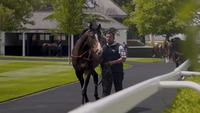 From stables to celebrations
