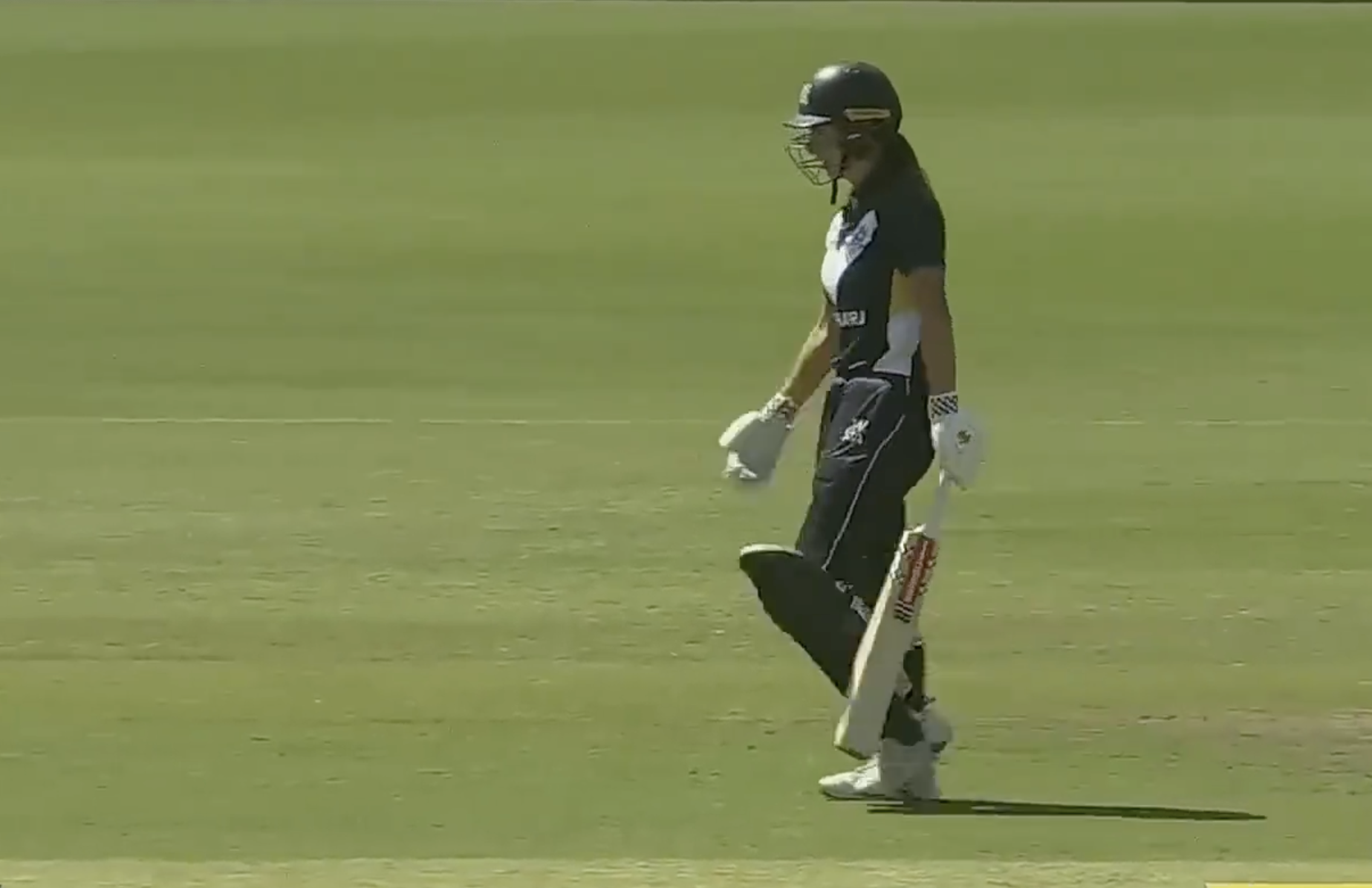 Tess Flintoff's 101 off 101 | Match 32