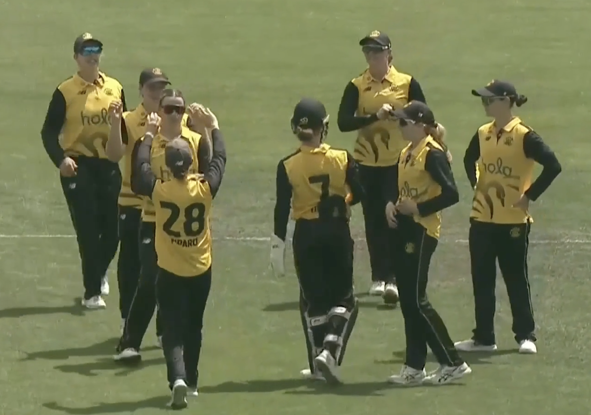 Western Australia Women beat Tasmania Women by 6 wickets | Match 24