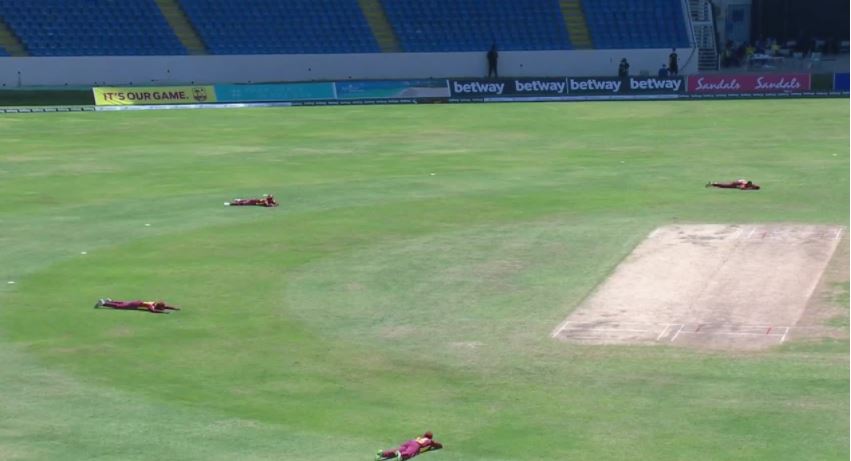 Swarm of bees invade pitch during WI vs SL match