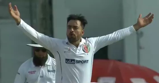 Rashid's 4-fer dismantles Zimbabwe