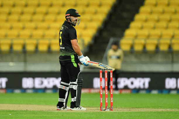 Finch steals the show: 79* off 55