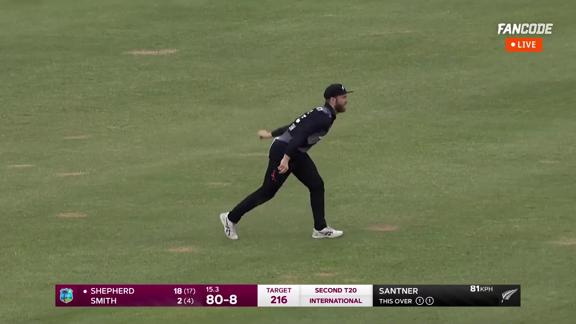 Wicket! Williamson Completes A Good Catch, Shepherd Has To Depart