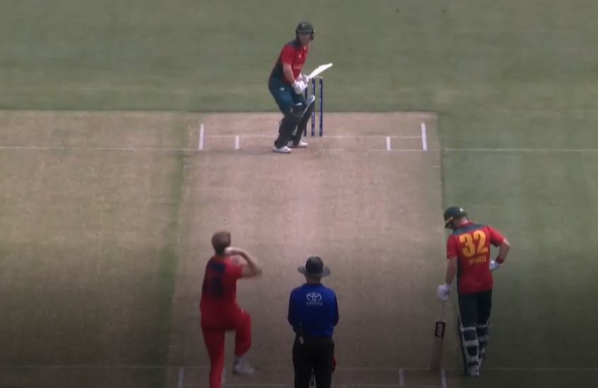 Jake Doran's blazing 105 sets up Tasmania for a big one