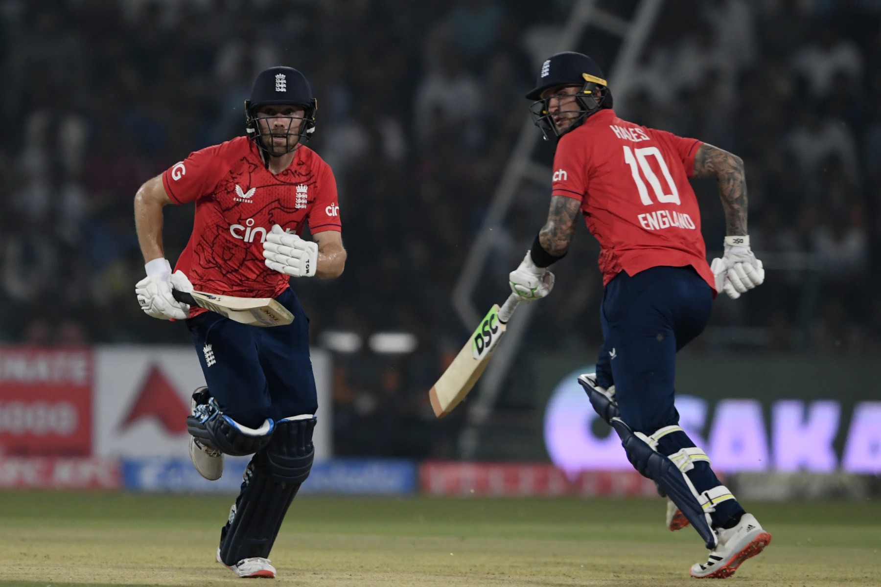 Hales or Salt: Who should be Buttler's opening partner at T20 WC?