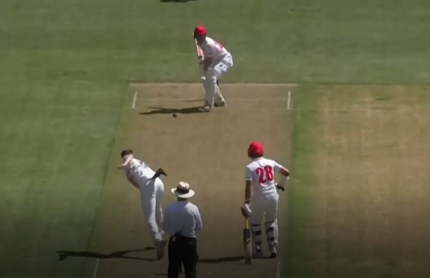 4 for 51! Bird's tight spell helps Tasmania restrict South Australia