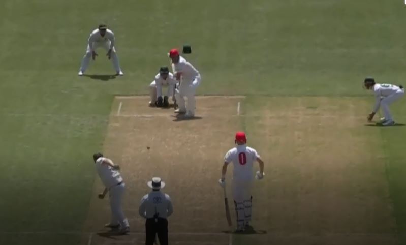 Manenti's valiant knock of 85