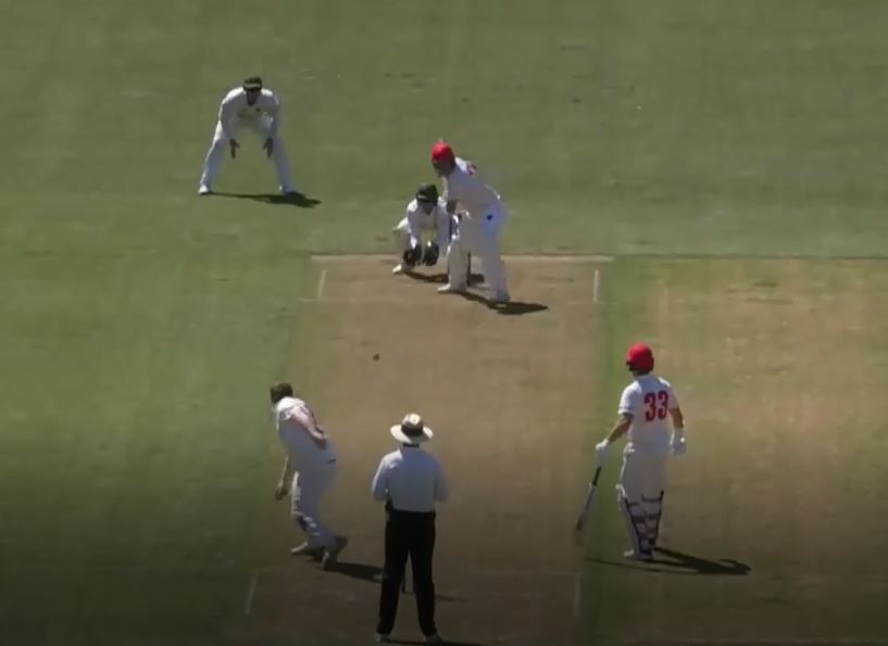 4 Fours, 2 Sixes! Manenti counterpunches Tasmania with a solid 59