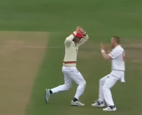 RIPPER! Thomas Kelly takes a blinder at short leg