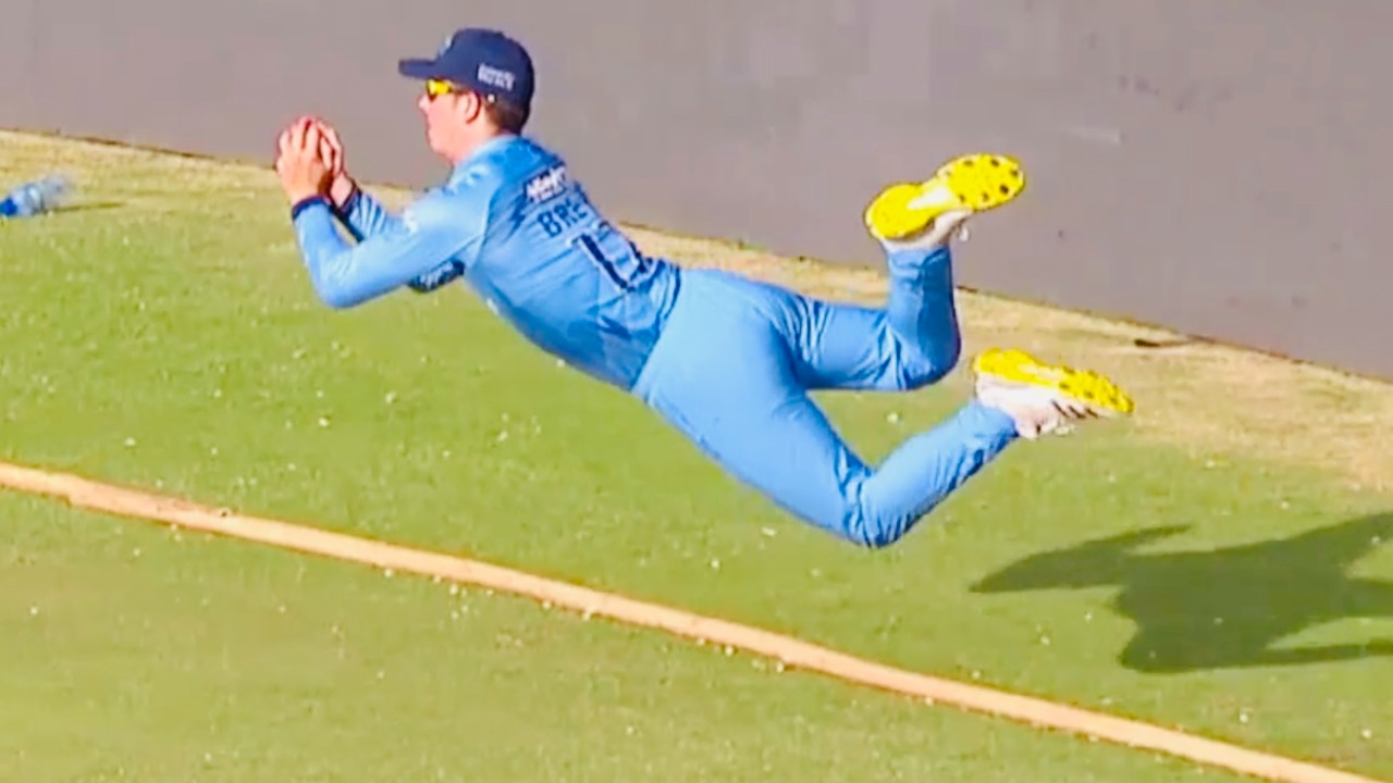 STOP IT, BREVIS! Unbelievable catch