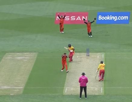Netherlands upset Zimbabwe with a five-wicket win
