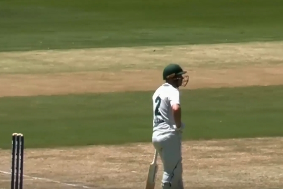 Jake Doran's gritty 85 guides Tasmania to 220