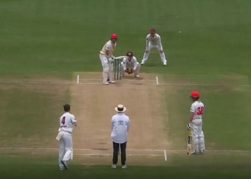 Lehmann anchors South Australia's chase with valiant 68