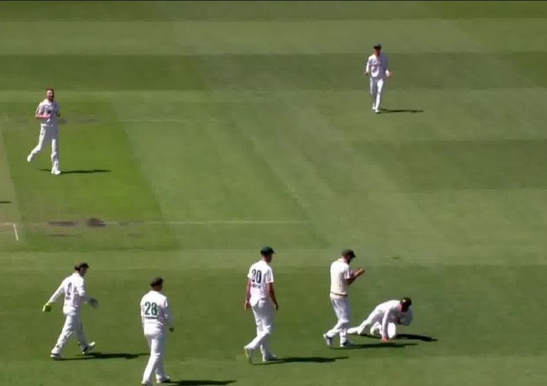 Absolute screamer! Tim Ward takes a blinder of a flying catch at gully