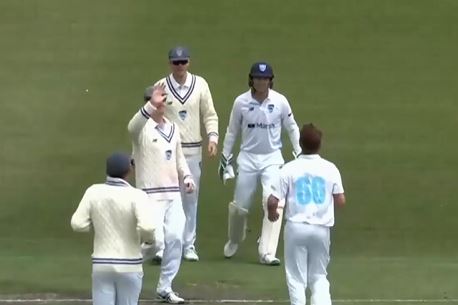 Adam Zampa spins his web with a 3-fer