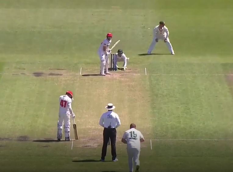 South Australia outmuscle Tasmania by 208 runs