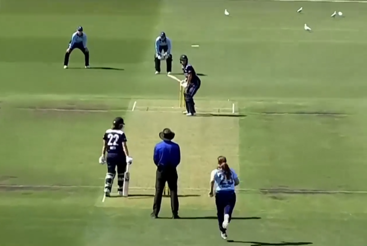 Ellyse Perry stars as Victoria beat New South Wales by 88 runs
