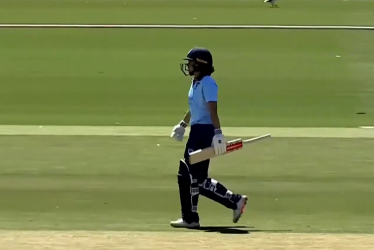 Phoebe Litchfield's gritty 82 powers New South Wales to 283
