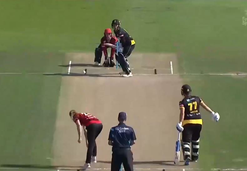 Wellington Blaze edge past Canterbury Magicians