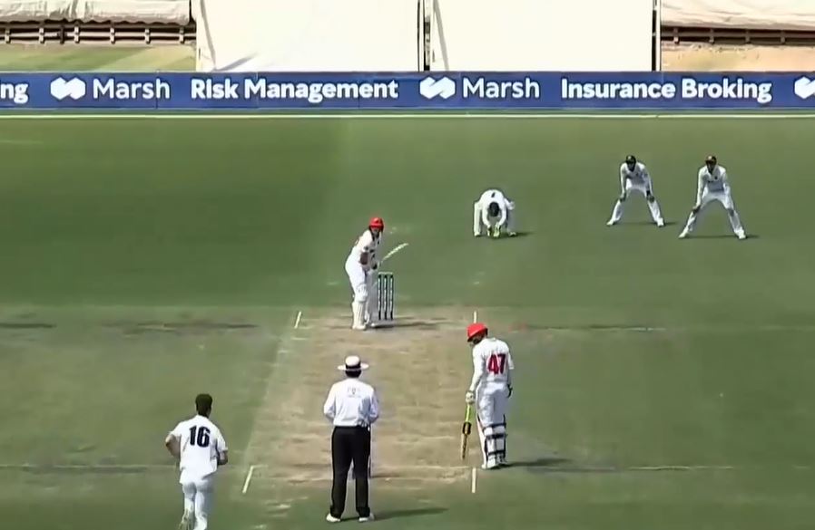 Mitchell Perry's 5-fer steers Victoria to victory